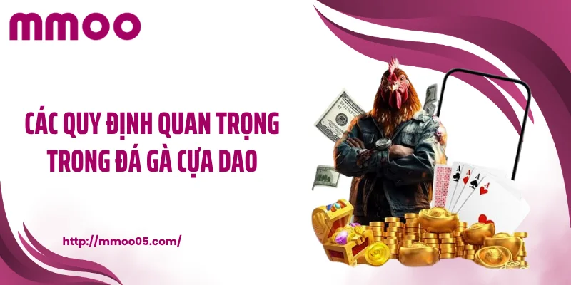 Các quy định quan trọng trong đá gà cựa dao