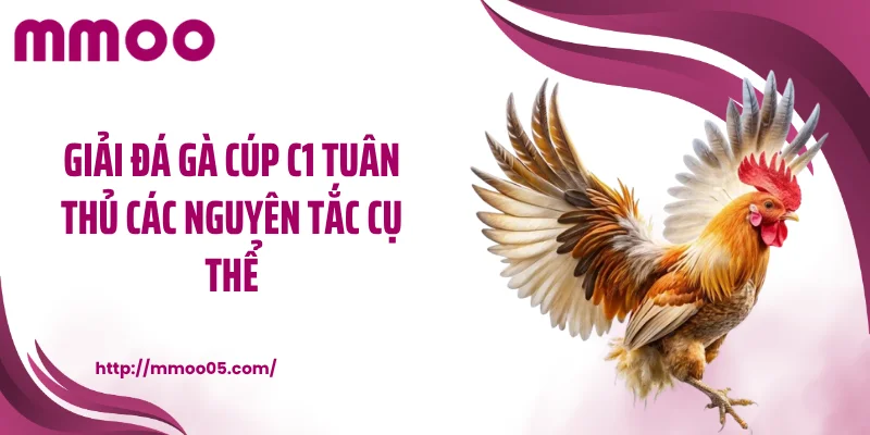 Giải đá gà cúp C1 tuân thủ các nguyên tắc cụ thể