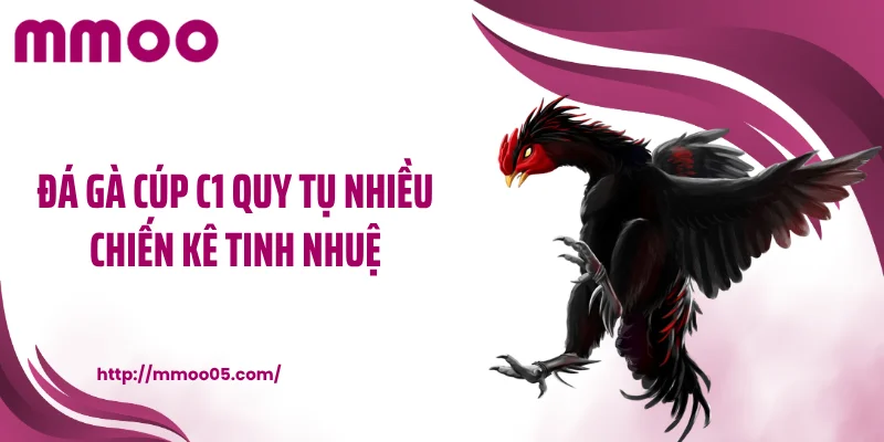 Đá gà cúp C1 quy tụ nhiều chiến kê tinh nhuệ